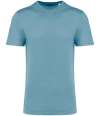 NS314IC Native Spirit Unisex Crew Neck IC T-Shirt arctic blue colour image